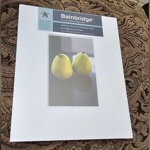 Bainbridge Gallery Pre-Cut Museum Mat White Fits Print Size 4X6 Frame 8X10 NWT